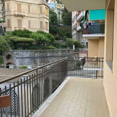 Piccolo Nel Cuore Di * Rapallo